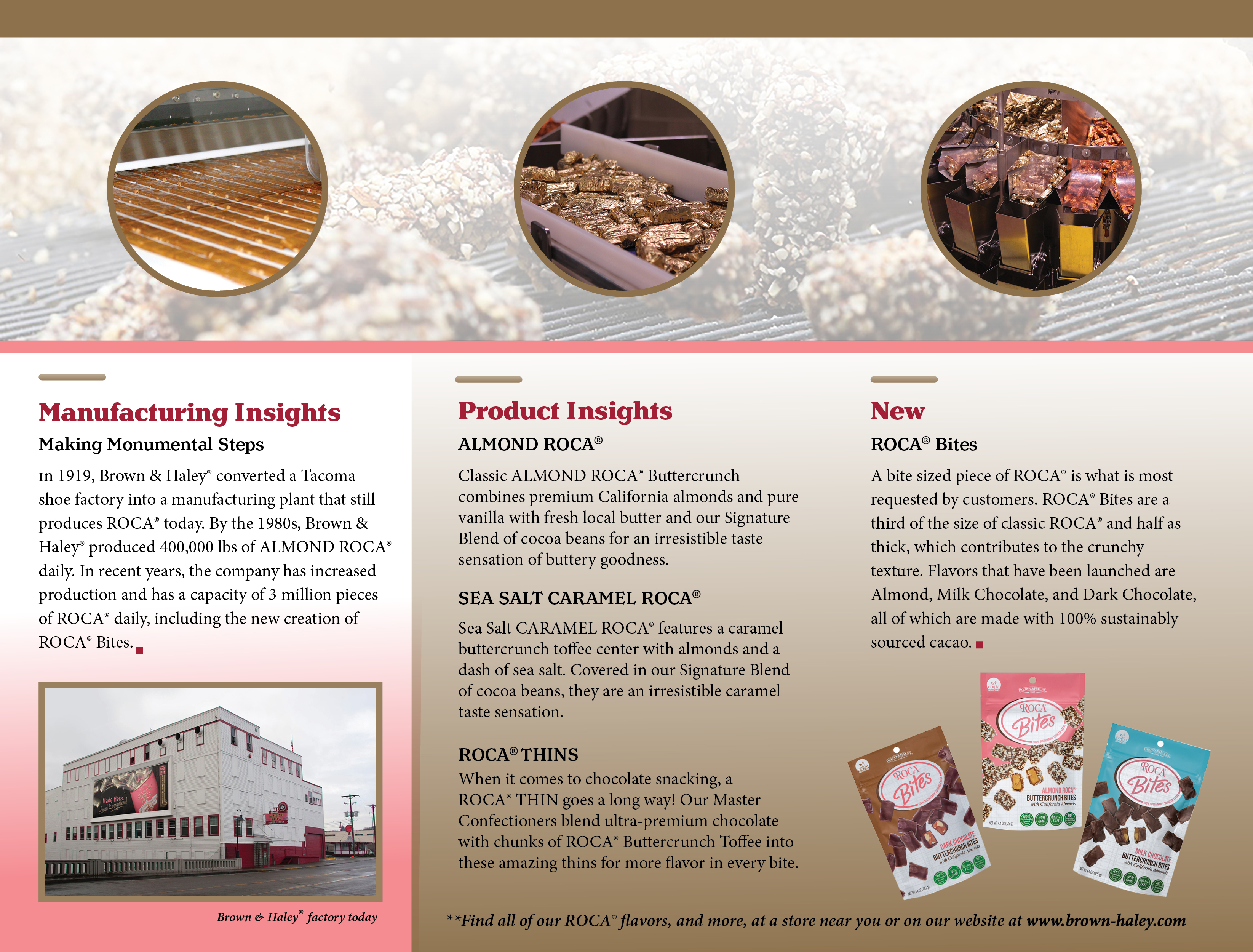 image of the back-side of the completed brochure dedign